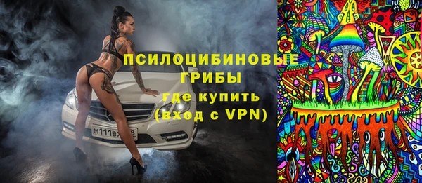 ГАЛЛЮЦИНОГЕННЫЕ ГРИБЫ Аркадак