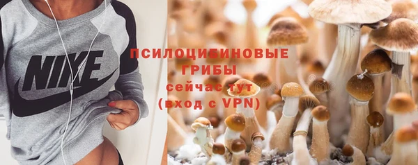 мескалин Балахна