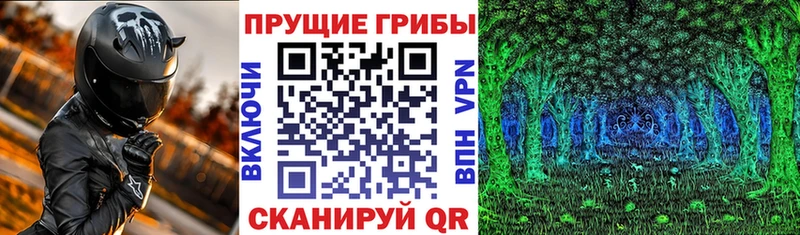 Псилоцибиновые грибы мицелий  Омутнинск 